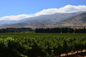 lebanon wine chateau kefraya