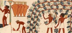 wine heiroglyphics